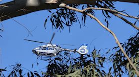 חיפושים אחר הנעדר, צילום: יחידת הכלבנים לישראל